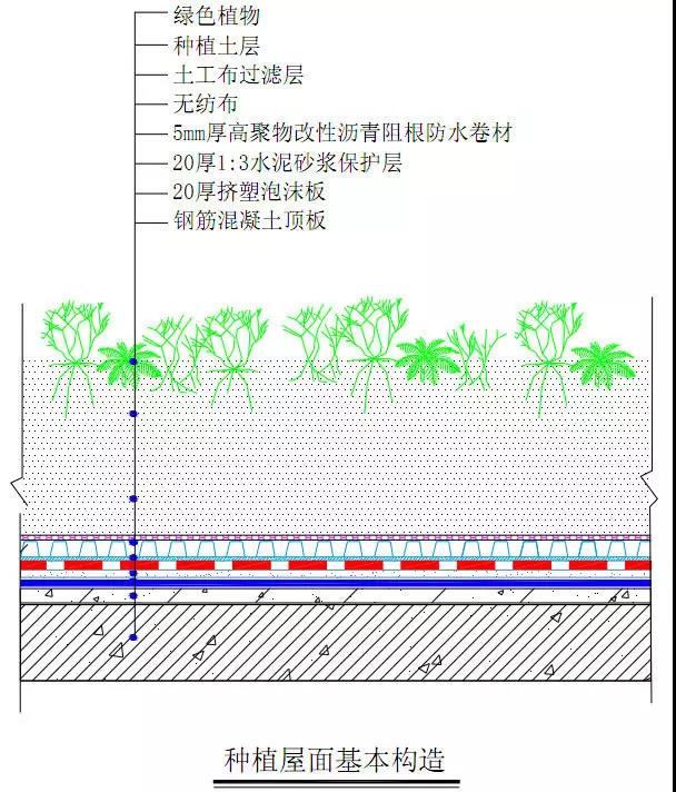 种植屋面.jpg